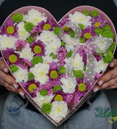 Box with colored chrysanthemums photo 394x433